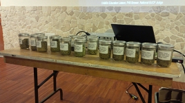 Hops Class, lots of samples to smell